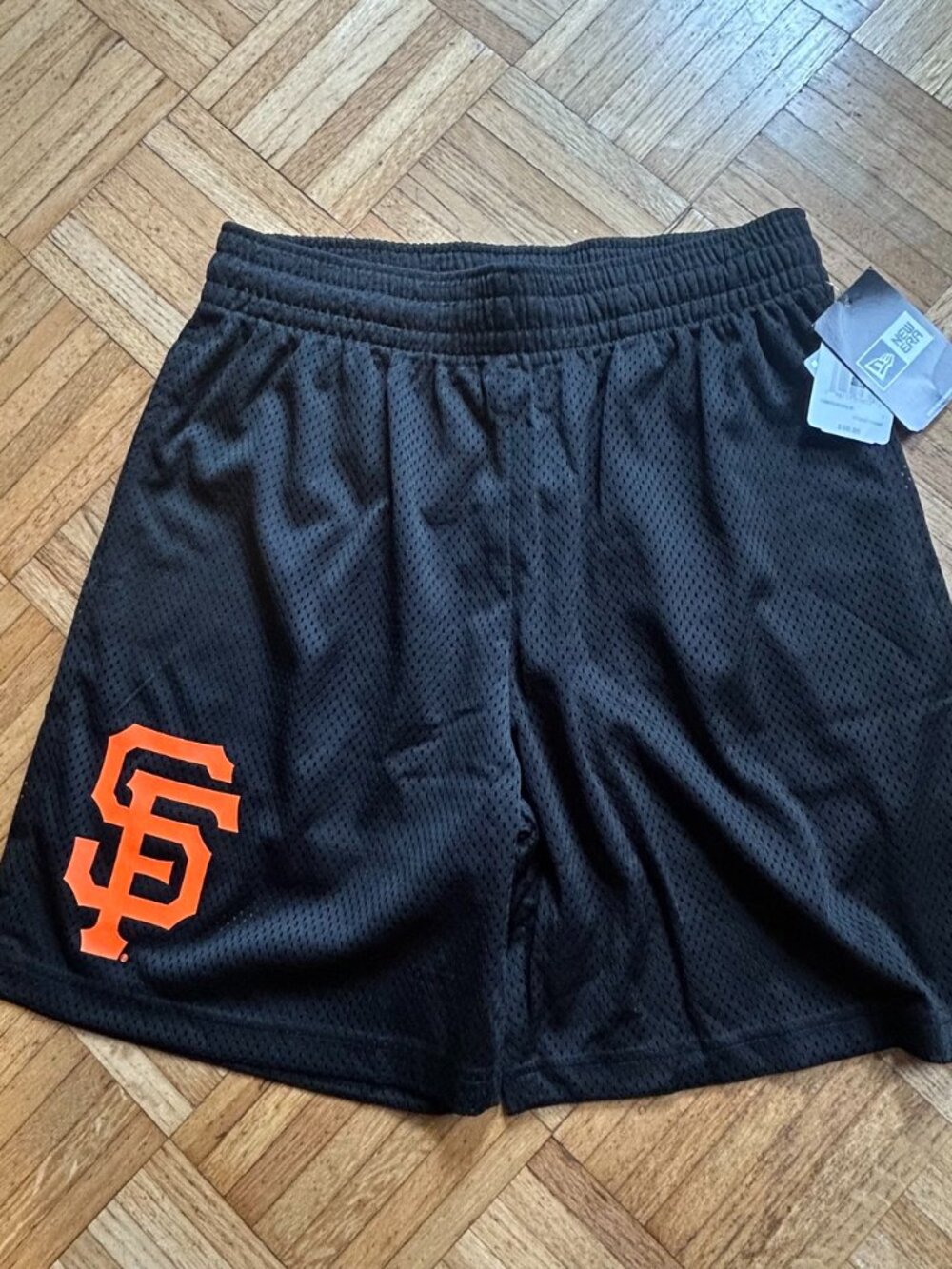 San Francisco Giants Team Mesh Shorts by New Era - Large